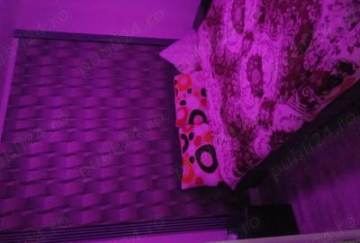 Apartament decomandat la parter cu trei camere. - 4