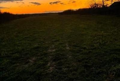 Teren Construcții intravilan de 3544 mp, în Buturugeni - 1