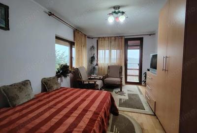 Casa superba in Saliste de Beius - 1