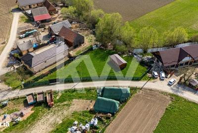 Spațiu comercial, în Lunca Calnicului - 10