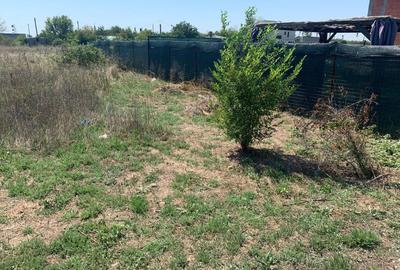 Teren Construcții intravilan de 609 mp, în Sud - 3