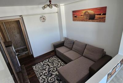 Apartament cu 2 camere decomandat în Dealu Mare - 8