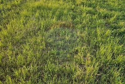 Teren Construcții intravilan de 1495 mp, în Dobreni - 33