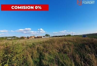 Comision 0% Teren intravilan de 3346 mp cu 2 fronturi - Jebel - 1