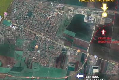 Spa?ii de inchiriat stocare depozitare comerciale industriale etc Combinat Chimic Vladimirescu - 3