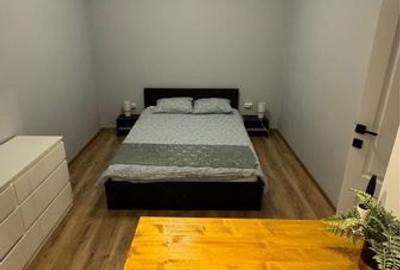 Apartament cu 2 camere în Dacia - 3