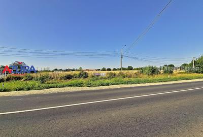 Teren Construcții intravilan de 7976 mp, în Crângurile - 27