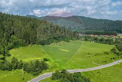 Teren intravilan de 10000 mp, în Brădet