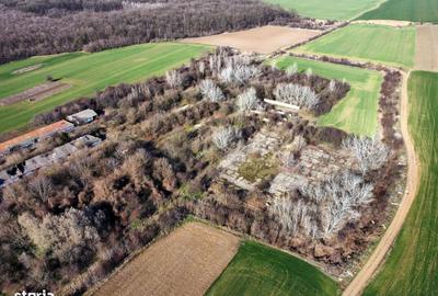 Spațiu comercial, în Nuci - 9