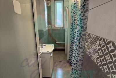 Casă individuală cu 4 camere cu Canalizare în Eminescu - 14