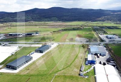 Oportunitate de Investitie sau Constructie Hala – Teren 3.900 mp | Talmaciu - 6