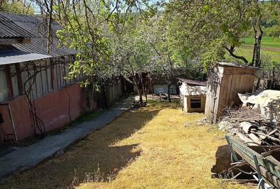 Casă cu 3 camere cu Teren 3000 Mp în Central - 9
