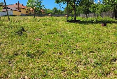 Teren de 4900 mp, în Central - 11