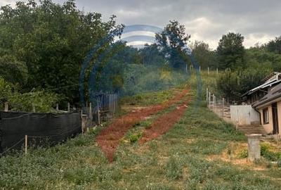 Teren de vanzare in  Breasta - 2