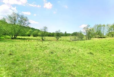 25.000 mp TEREN IDEAL AFACERE TURISM – AMENAJARE LAC DE PESCUIT, CIUCEA - CLUJ - 6