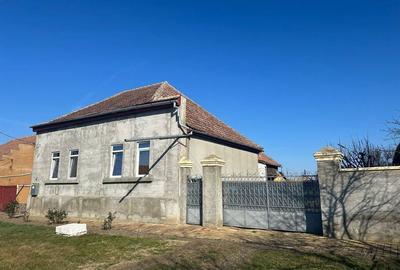 Casă cu 6 camere cu Teren 1498 Mp în Variaș - 8