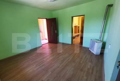Casa renovabila, 2 camere, zona Cetate - 12
