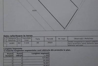 Teren de 7526 mp, în Băcia - 4