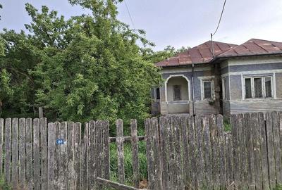 Casă cu Teren 1800 Mp în Radovanu - 5