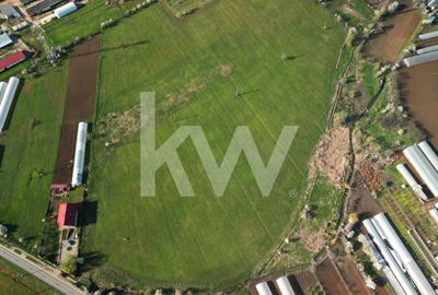 Teren agricol intravilan de 95000 mp, în Băleni-Români - 1