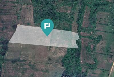 Teren arabil de 11,3 hectare in Bara, Timi? - 3