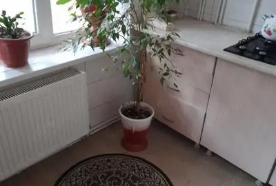 Garsonieră în Spitalul Județean - 2