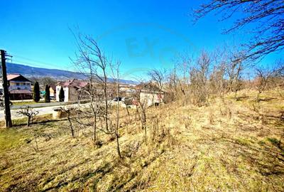 Spațiu comercial, de 140 mp, în Dârmănești - 15