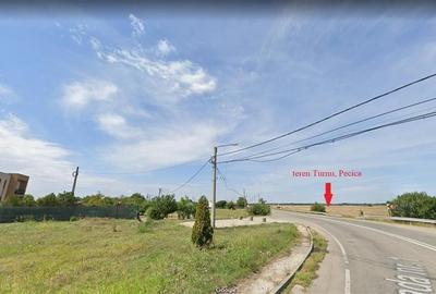 122 ari in Turnu, front 60 m la DN 7B, 15 km de Arad, 1 km de vama - 5