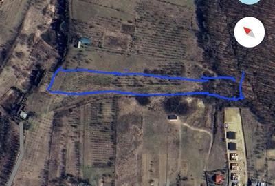 Teren de 11221 mp, în Alexandru cel Bun - 1