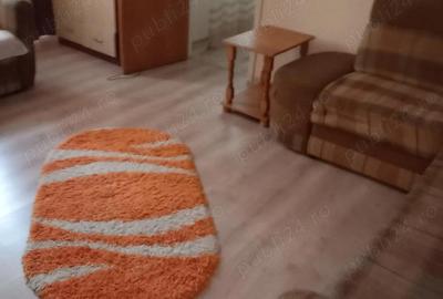 Apartament cu 2 camere semidecomandat în Banat - 1