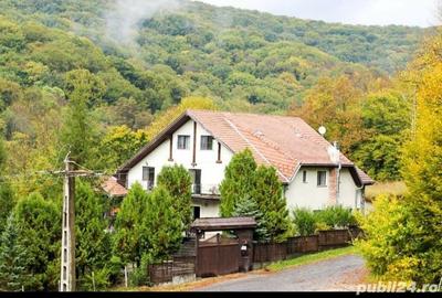 Spațiu comercial, de 350 mp, în Sighișoara - 1