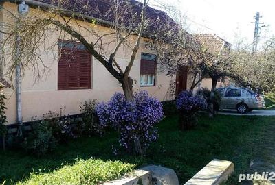 Casă cu 5 camere cu Teren 20142 Mp în Gladna Română - 8