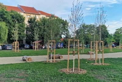 De inchiriat apartament 1 camera etaj 1 zona Lunei - complexul studen?esc - 6