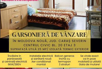 Garsonieră decomandată în Moldova Nouă - 6