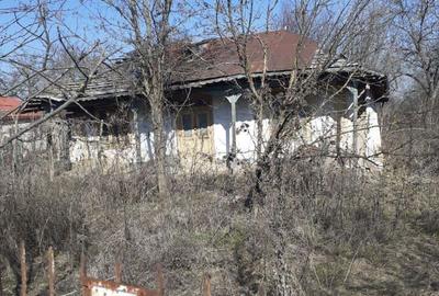 Casa de vanzare in ora?ul Videle - 1