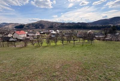 Spațiu comercial, în Central - 1