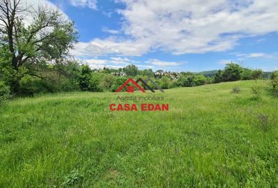 Teren intravilan de 4355 mp, în Câmpina - 3