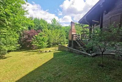 Casă cu 6 camere cu Teren 4042 Mp în Central - 13