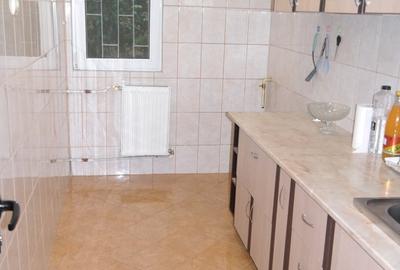 Dristor-Ramnicu Sarat,mall park lake,stradal,vedere spate,10min metrou! - 7