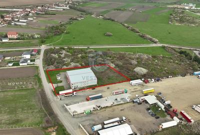 Hala industriala P+E Zona Industriala Bors - 3