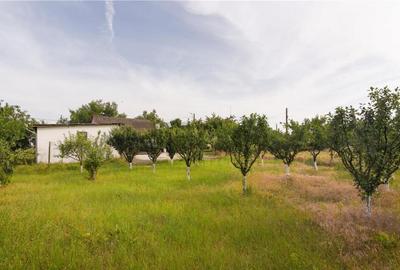 RECO CASA RENOVATA IN TARIAN LA PRET DE GARSONIERA - 7