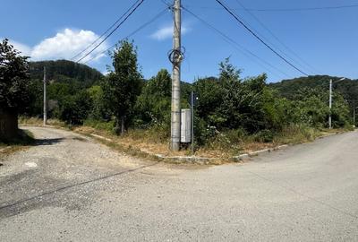 Teren de vanzare 6000mp Timisul de Jos