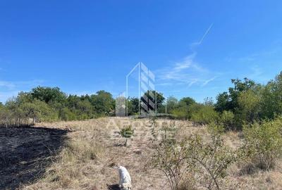 Casa cu teren 3407 mp, la asfalt, Seceani, 26 km de Timis... - 3