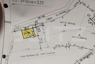 Teren intravilan de 2000 mp in Carcea, langa strada Muntenil - 4