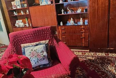 Apartament 2 camere, et 4, Nadrag jud Timis - 3