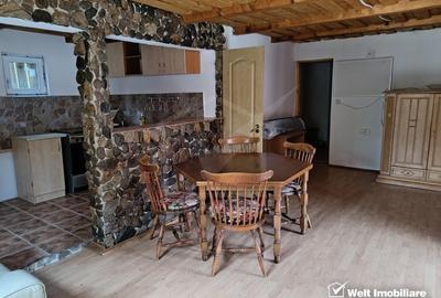 Oportunitate unica! 5ha + 2 cabane de vacanta in Valea Ierii - 11