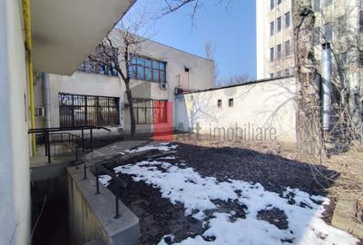 Spațiu comercial, de 925 mp, în Bucureștii Noi - 4