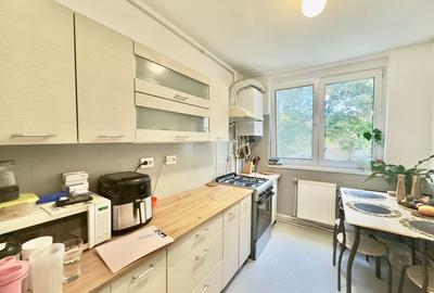 Apartament 2 camere etaj 2 - Grigorescu - 16