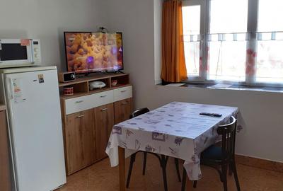 Casă cu 2 camere în Sintea Mare - 5