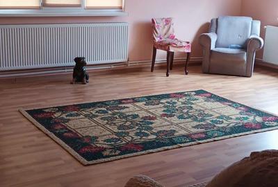 Casă cu 4 camere în Mărunțișu - 10